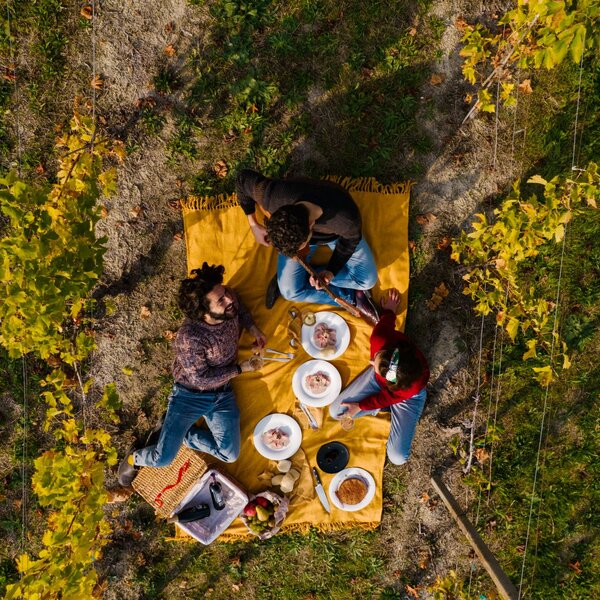 Picknick und Abendessen in den Weinbergen