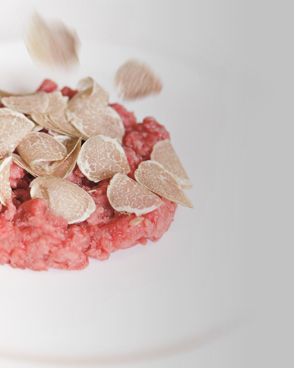 HIGH Carne Cruda Tartufo Davide Dutto Archivio Ente Turismo LMR Redux 2 4