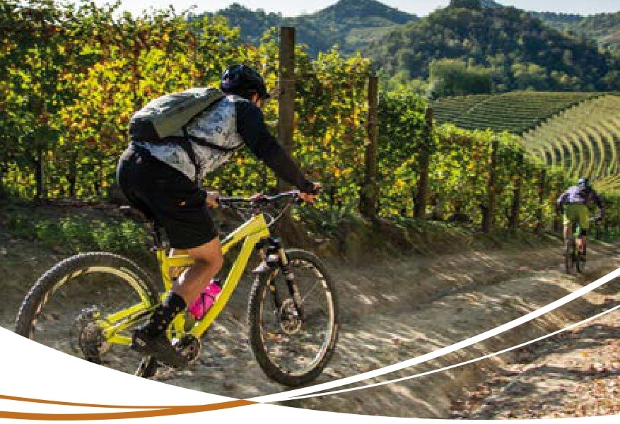 Bike in Langhe Monferrato Roero Bike in Langhe Monferrato Roero