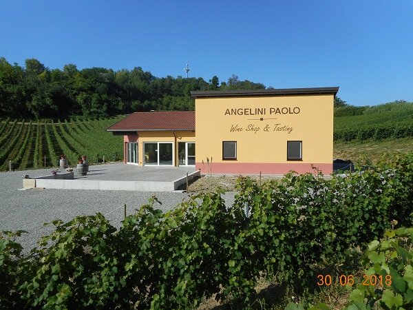 ANGELINI PAOLO