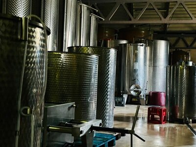 Azienda Vinicola Valle Erro