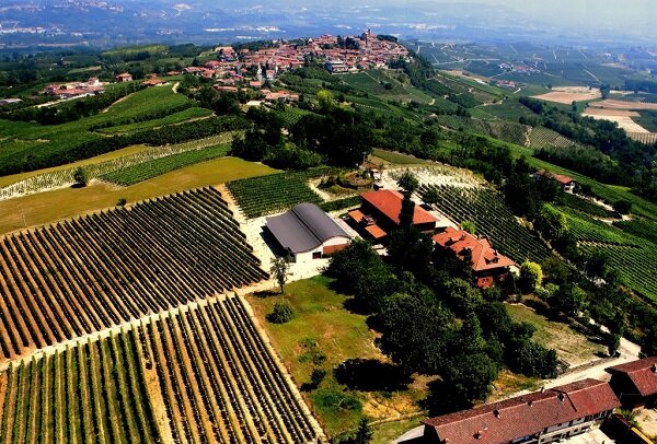 Bel Colle Bosio Family Estates