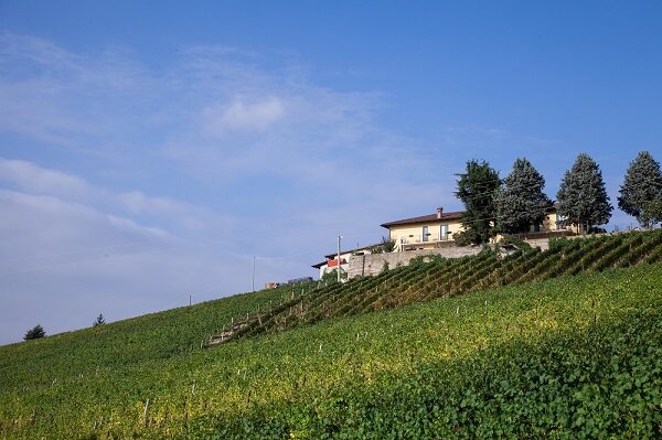 Azienda Agricola Montaribaldi Di Taliano Luciano E Taliano Roberto