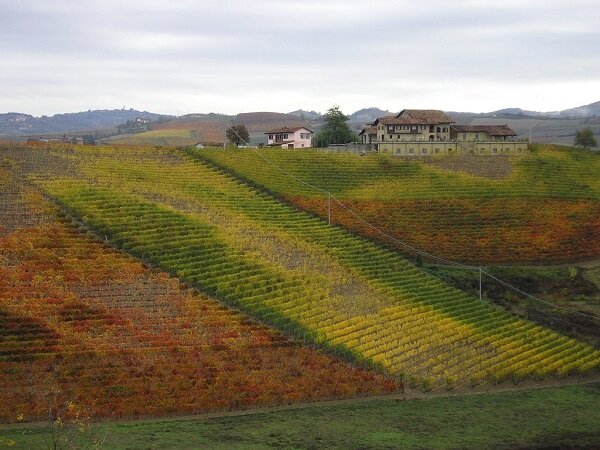 Pecchenino