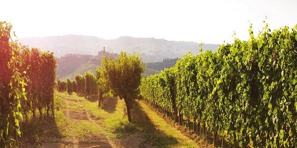 Poderi Gianni Gagliardo Poderi Gianni Gagliardo