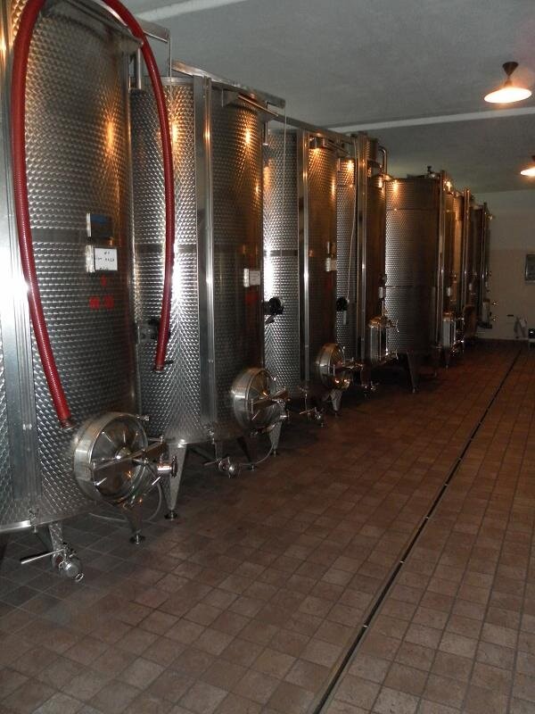 Azienda Agricola Savigliano