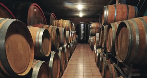 Azienda Agricola Virna Di Borgogno Virna