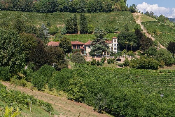 Tamburnin Societa Semplice Agricola