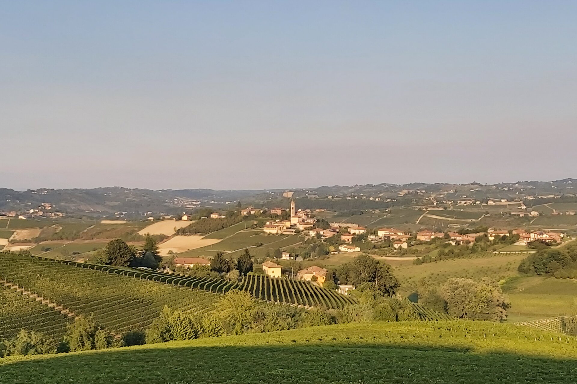 Tenuta la Graziosa