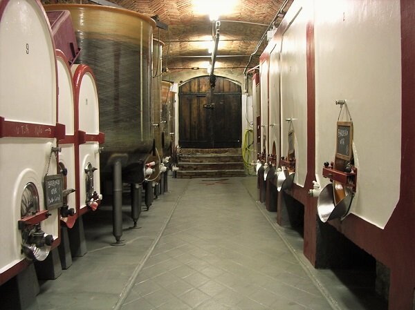 Azienda Vitivinicola Tre Acini Di Elia Defilippi