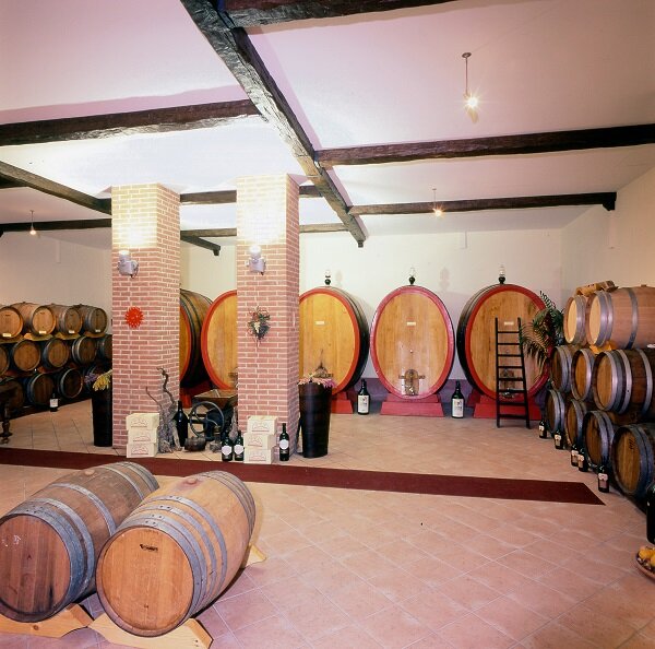 Vigneti Brichet Di Massasso E Figli