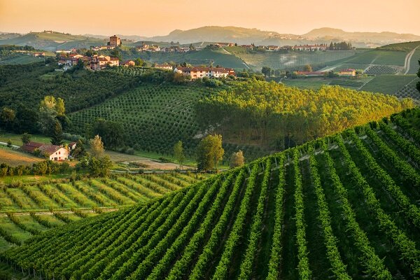 Soc Agr Poderi Dei Bricchi Astigiani Di Alessandra Gaslini Alberti C Snc