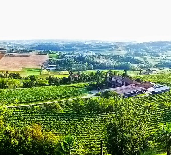 Azienda Agricola Cabiale Roberto