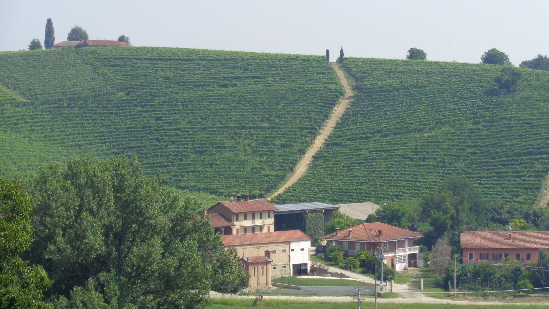 Azienda Agricola Cotto Giacomo Di Cotto Gabriele