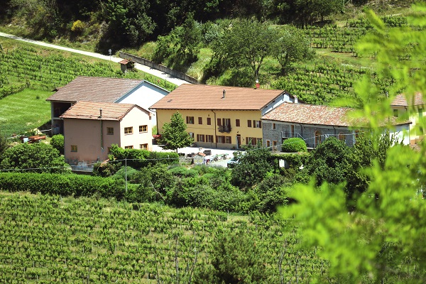 Azienda vitivinicola Casa Re
