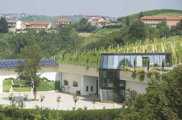 MARCHISIO FAMILY ORGANIC ESTATE