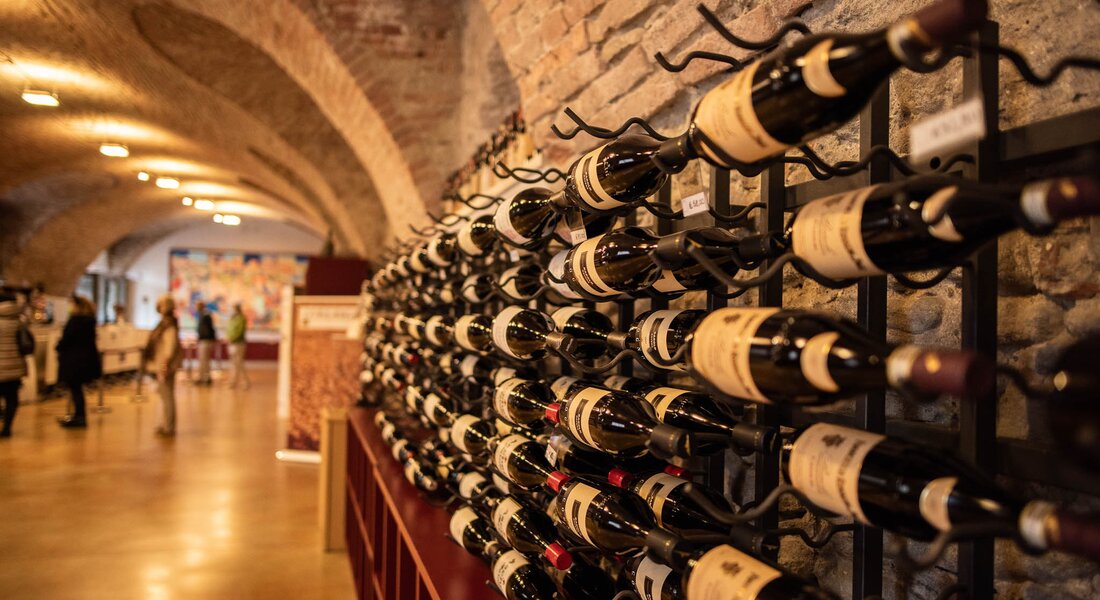 Emotional wine tour in Langhe Hills