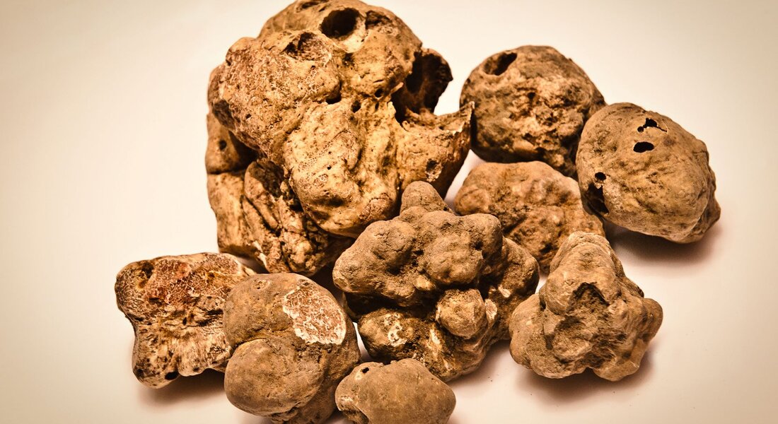 Fiera Nazionale del Tartufo di San Damiano d'Asti e Fiera dei Santi