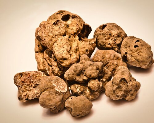 Fiera Nazionale del Tartufo di San Damiano d'Asti e Fiera dei Santi