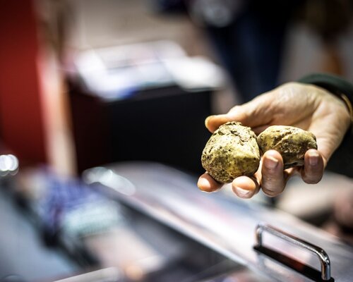 Fiera Nazionale del tartufo e Fiera di San Martin - Canelli (AT)