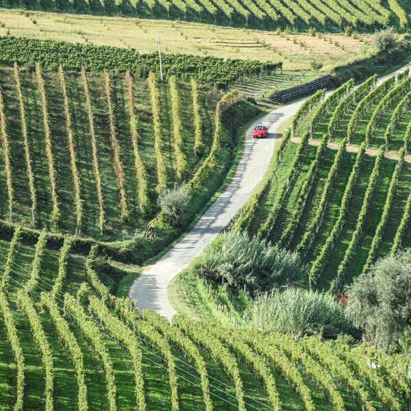 059 Langhe E Roero Panorama Marcobadiani