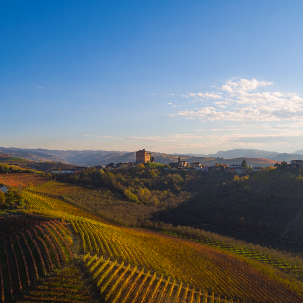 Langa Del Barolo1