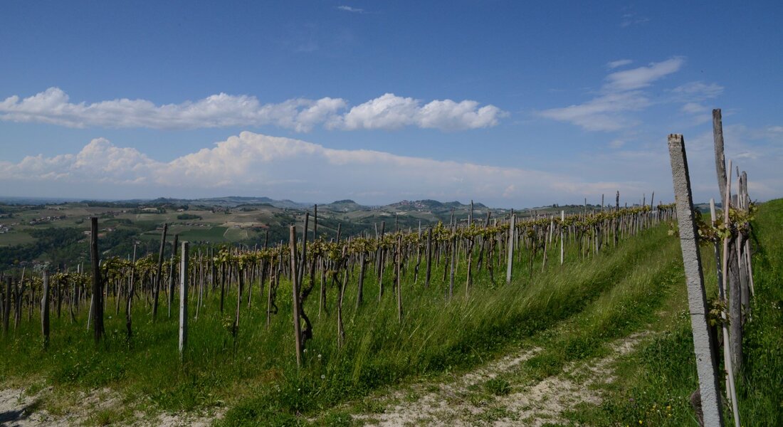 The Langa of Dolcetto