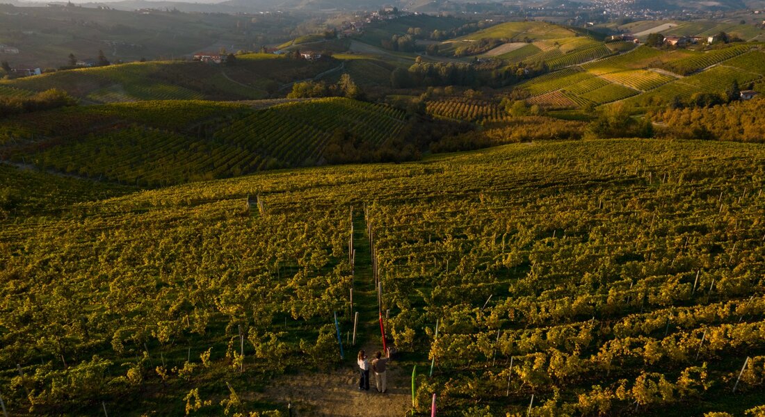 La Langa del Moscato