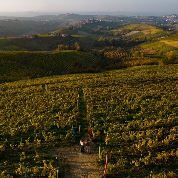 La Langa del Moscato