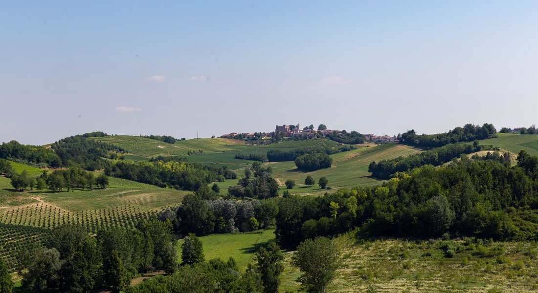 Lower Monferrato of Castagnole