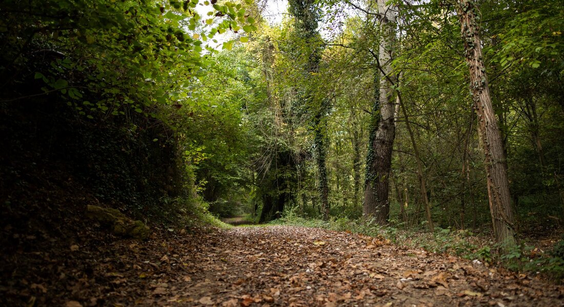 Les Parcs du Monferrato