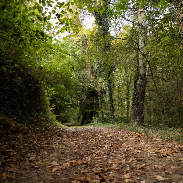 Parks des Monferrato