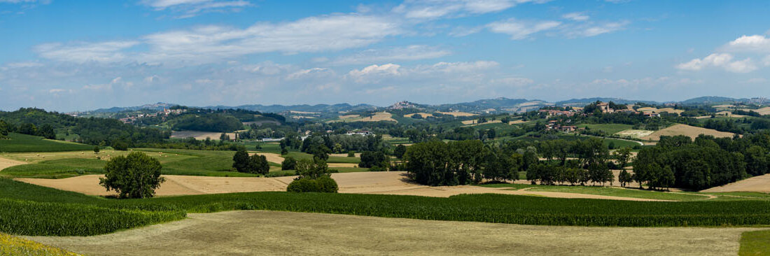 Romanico da Montechiaro d'Asti