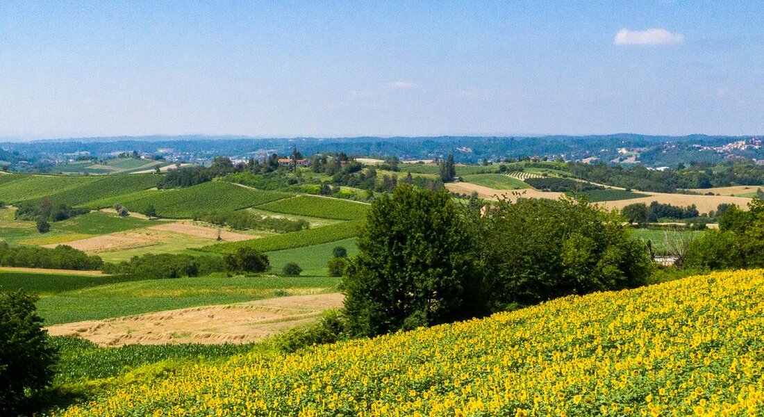 Romanico Da San Damiano D'asti