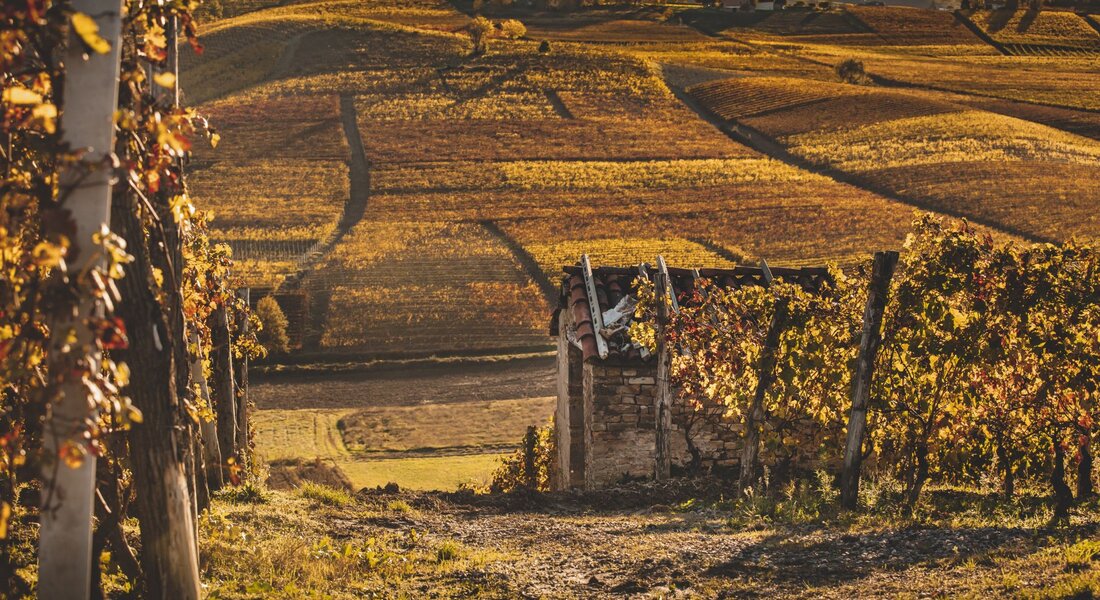 La Strada del Nizza