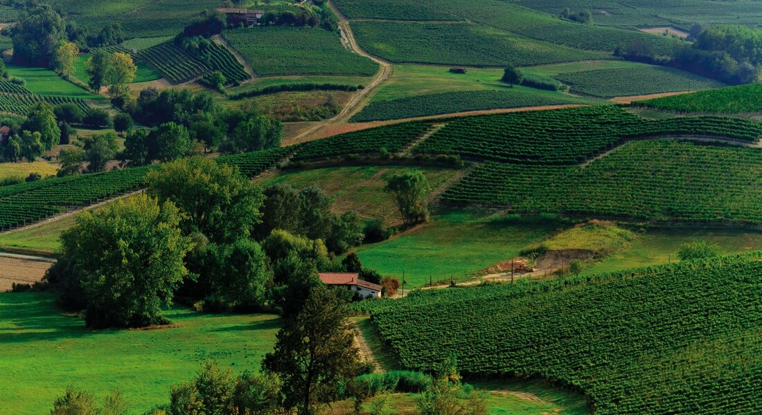 The Brachetto Wine Route