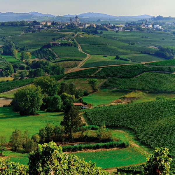 The Brachetto Wine Route