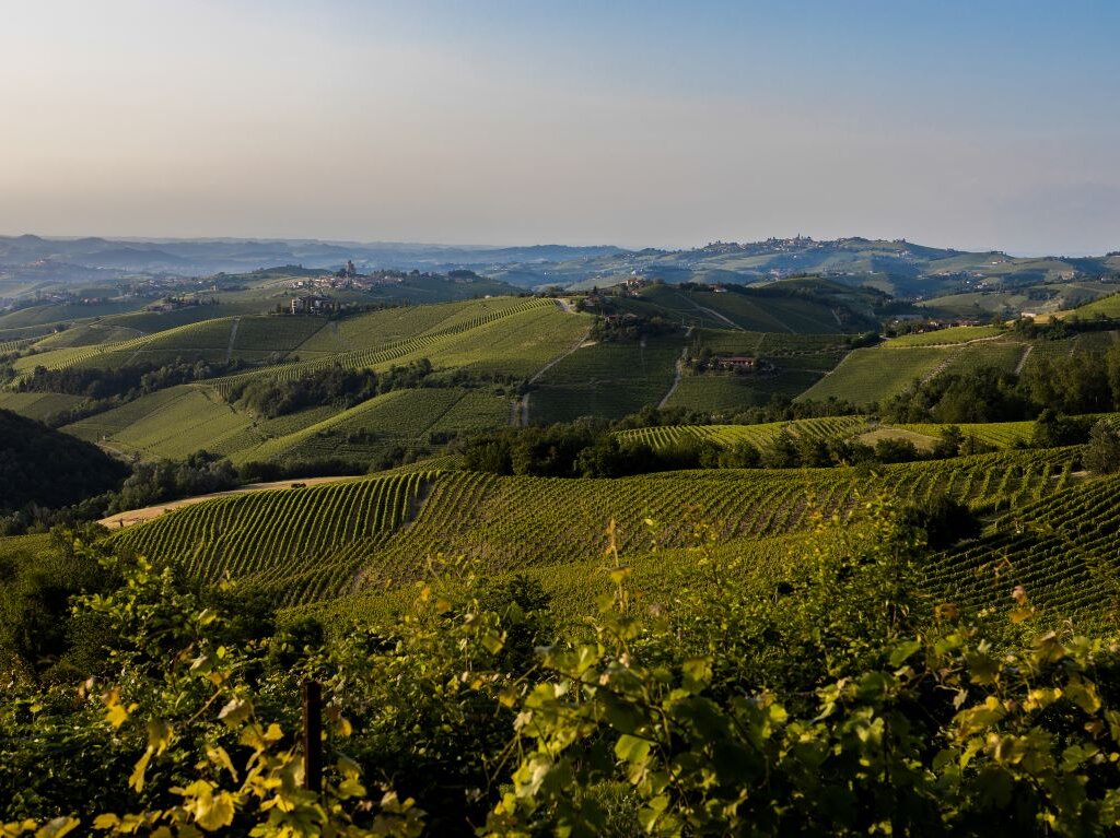 Paesaggio Langa Del Barolo 2 Can't Forget Italy Archivio LMR Rid