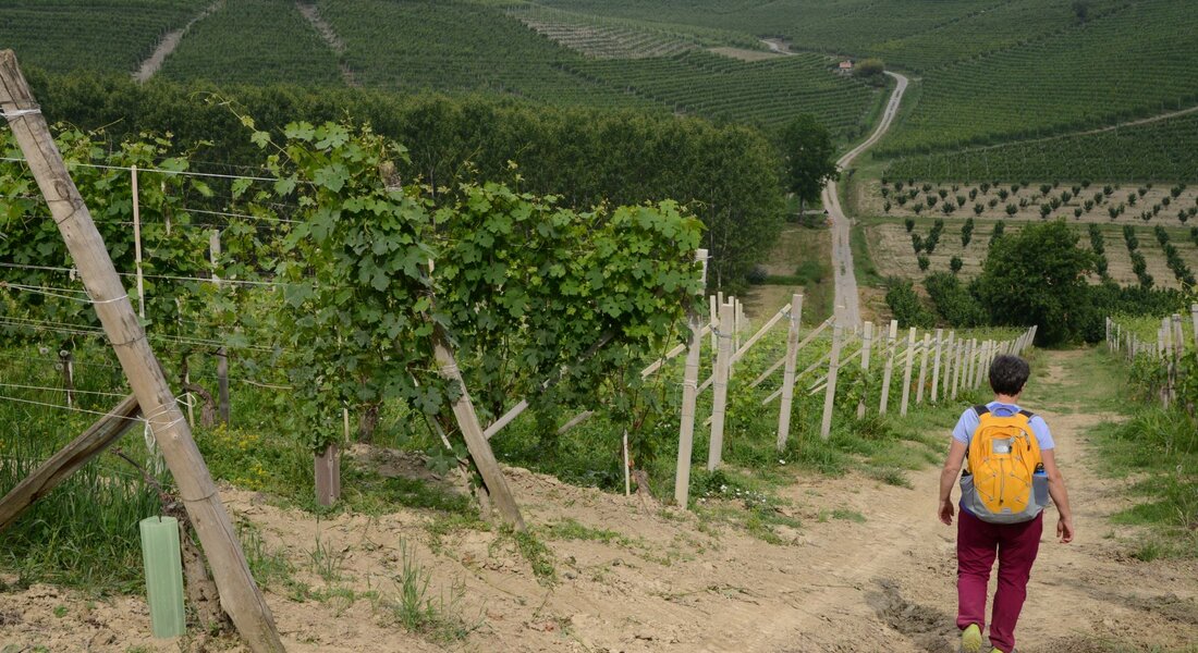 Da Barbaresco a Neive