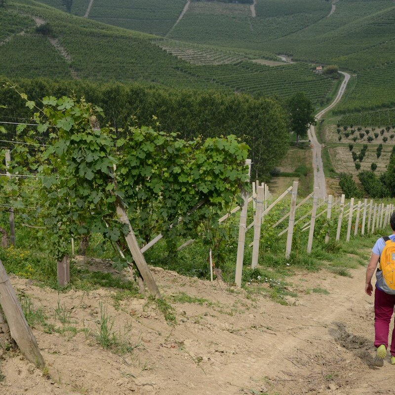 Itinerary - From Barbaresco to Neive - Langhe