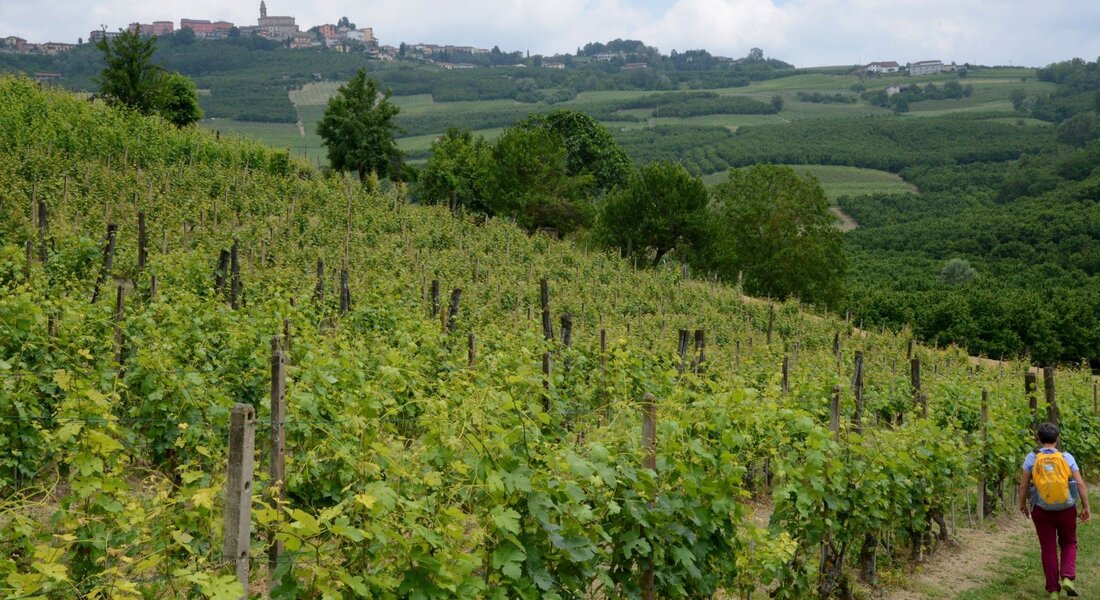 Tra Grinzane Cavour e Diano d'Alba