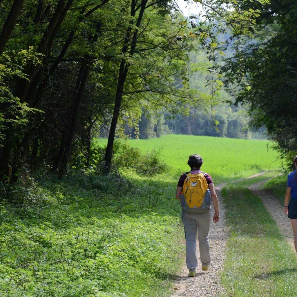 Trekking Tigliole Franco Voglino Archivio Ente Turismo LMR (9)