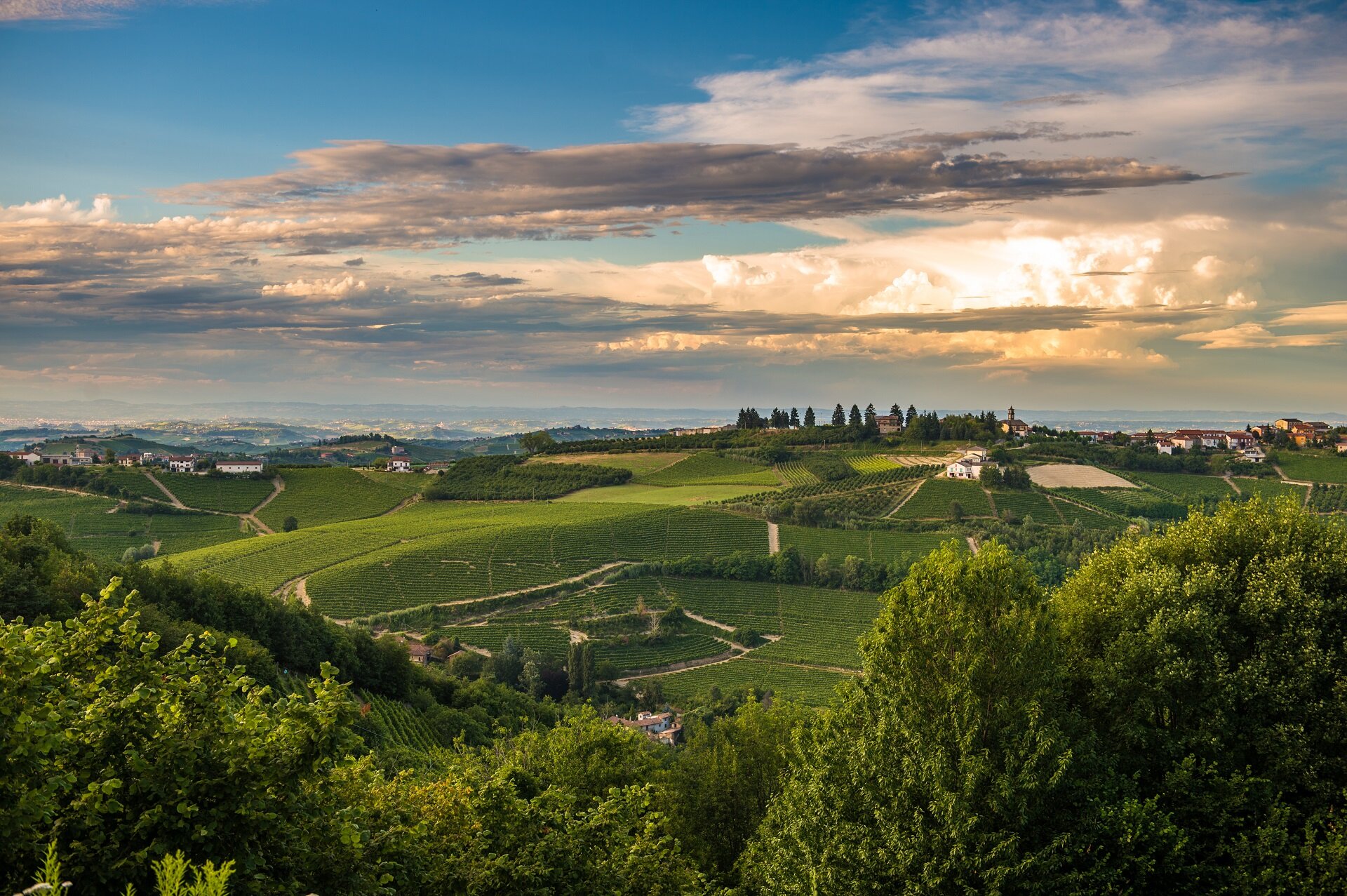Paesaggio Langa Barbaresco Mikael Masoero Ridotta