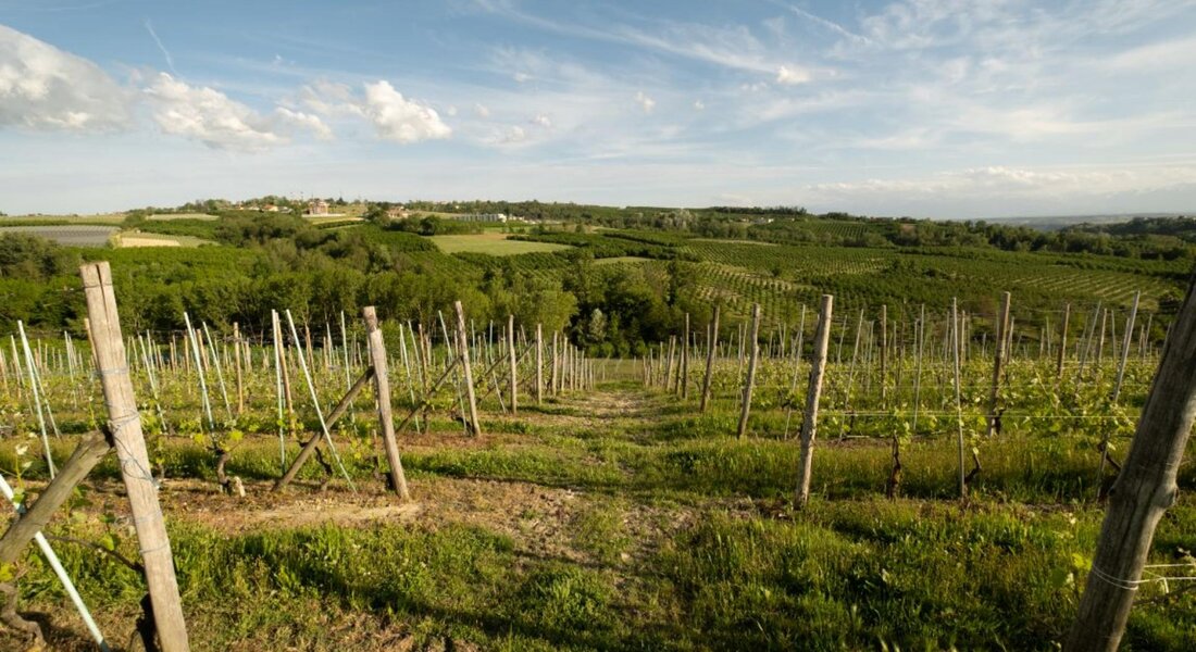 CHERASCO IN MTB - Cherasco - La Morra