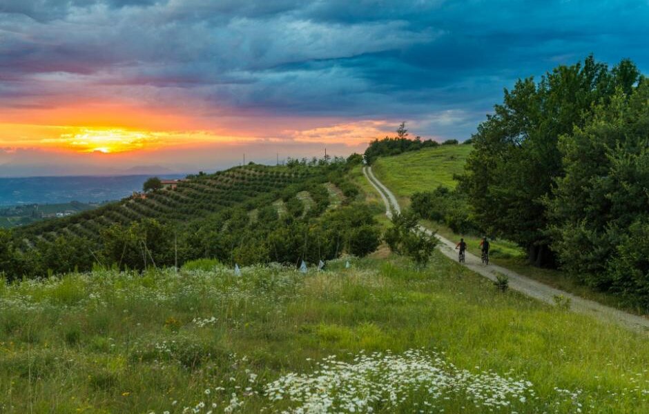GTL - Grande traversata delle Langhe