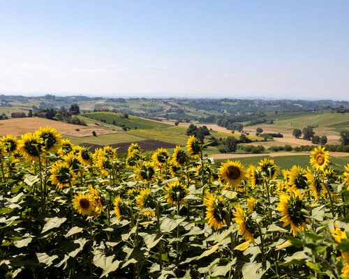 I Cammini delle Alte Colline Ombrose e delle Colline Chiare