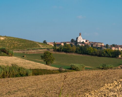 Randonnées dans les collines ombragées et les collines claires - Étape 6A:  Penango Stazione - Grana (jonction de l'étape 7)