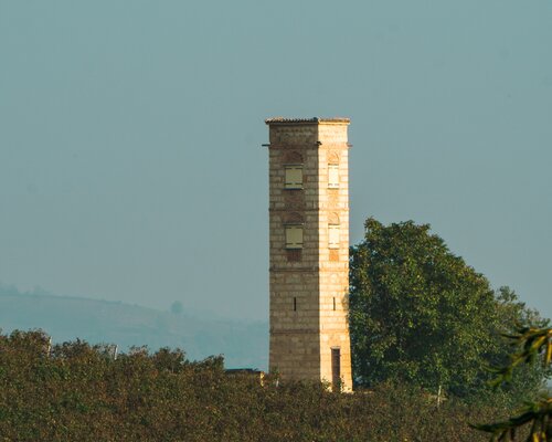 Randonnées dans les collines ombragées et les collines claires - Étape 9: Casorzo Monferrato - Viarigi