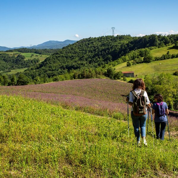 Guides Naturalistes de la Province de Cuneo