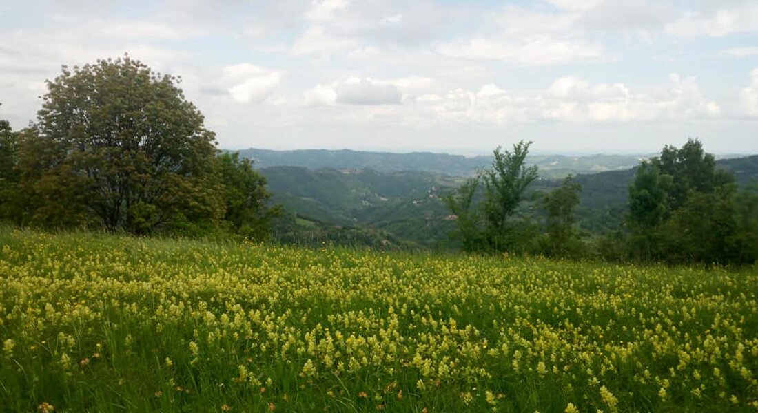 Giro delle 5 Torri - Tappa 1: Monastero Bormida - San Giorgio Scarampi